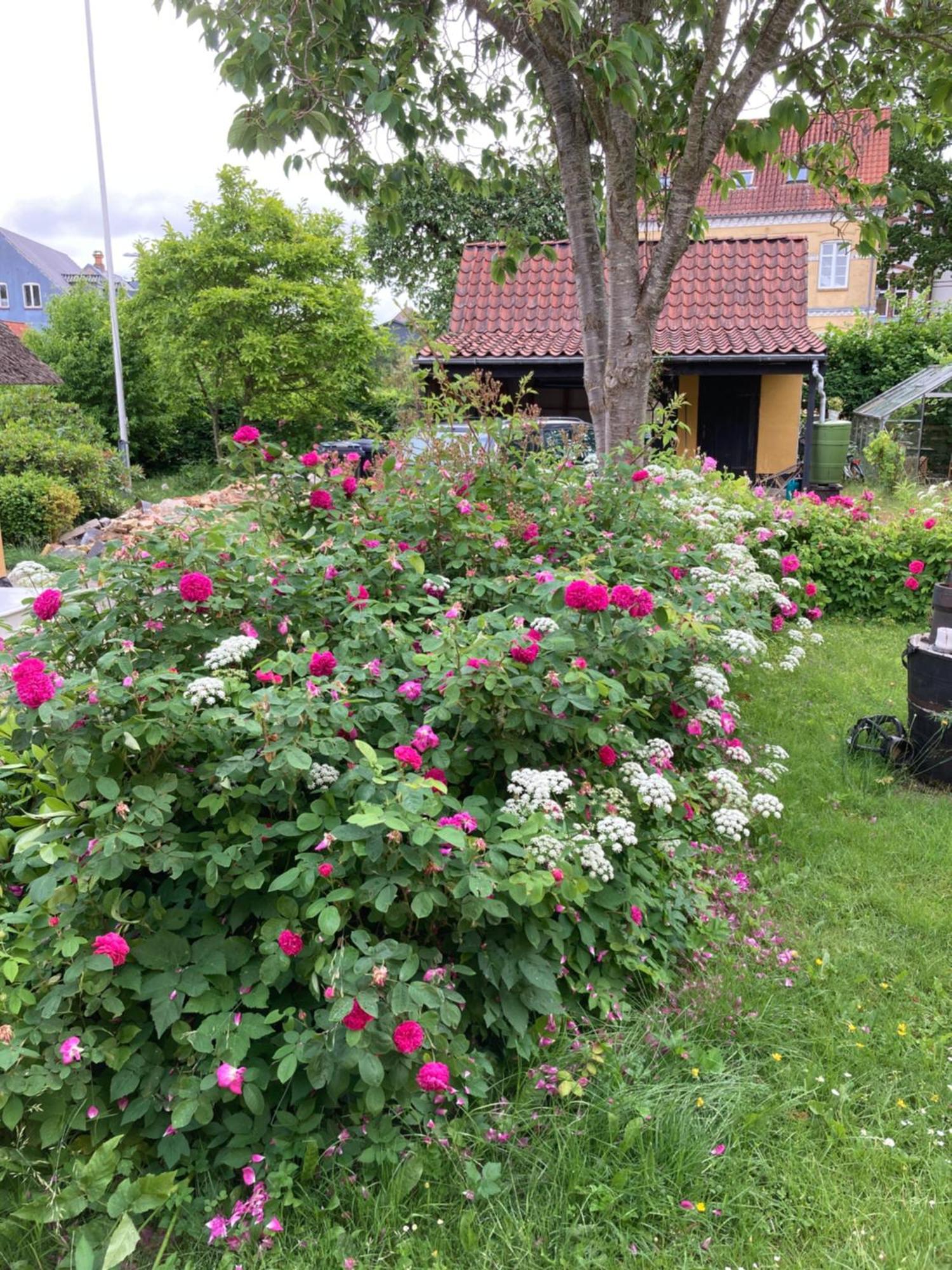 Den Gamle Skomager Hytte Ved Slotssoen Gråsten Exterior foto