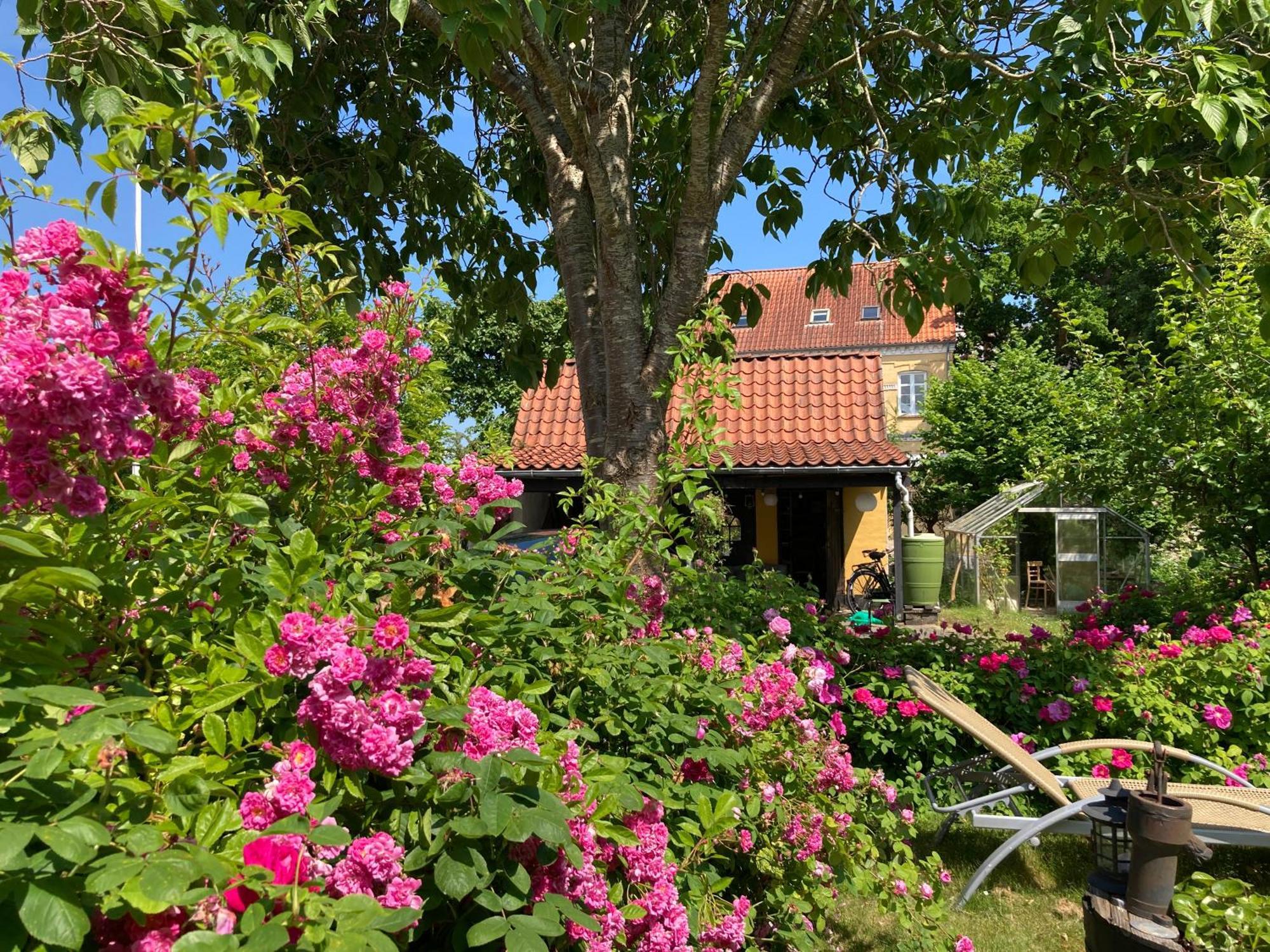Den Gamle Skomager Hytte Ved Slotssoen Gråsten Exterior foto